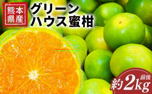 熊本県産グリーンハウス蜜柑 約2キロ前後 果物 フルーツ みかん 蜜柑 ミカン ハウスみかん グリーンハウス 約2kg前後 常温 熊本県産 【2025年7月上旬発送開始】