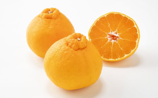 デコポン および 熊本県産 季節の柑橘 約3kg 約10～11玉 清見 柑橘 みかん 蜜柑 フルーツ くだもの 果物 【2026年3月下旬発送開始】