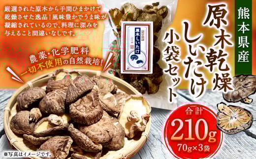 原木乾燥しいたけ 小袋セット 210g（70g×3袋） 乾燥椎茸 椎茸 しいたけ きのこ 野菜 セット 熊本県 常温