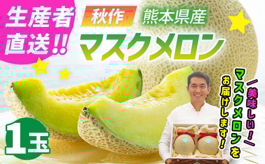 【生産者直送】☆秋作☆ マスクメロン 1玉 合計約1.6kg以上 【2025年10月下旬発送開始】 フルーツ くだもの 果物 メロン めろん 熊本県産