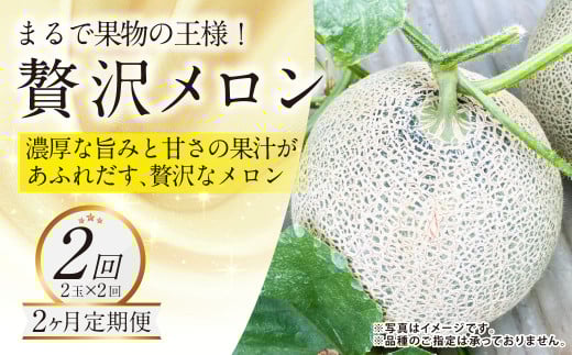 【年2回定期便】『まるで果物の王様！贅沢メロン』 2玉セット×2回 合計4玉 2色楽しめる特別な定期便 【2026年1月下旬発送開始】熊本県産 フルーツ くだもの 果物 メロン 果実 果肉 おやつ 国産