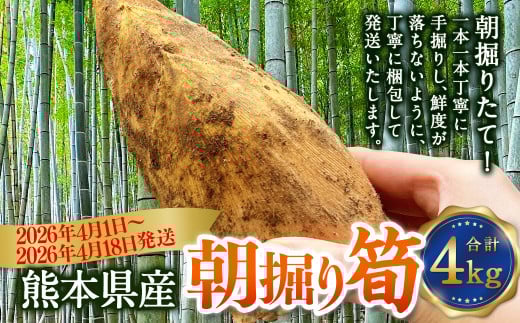 熊本県産 朝掘り 筍 約4kg 【2026年4月上旬発送開始】 たけのこ タケノコ 野菜