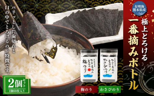 有明海 熊本産 極上とろける一番摘み （梅のり・わさびのり） ボトル 2種セット 60枚入 計2個（各1個）計120枚 海苔 海藻 のり ノリ 梅 うめ ウメ わさび ワサビ 山葵