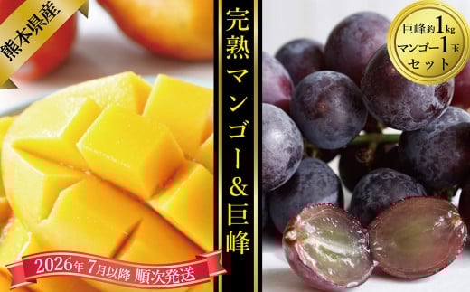 熊本県産マンゴー1玉と巨峰約1kgのセット【2026年7月上旬発送開始】 マンゴー 巨峰 ぶどう 葡萄 ブドウ 熊本県産 国産 1玉 1kg セット フルーツ 果物 くだもの 果実