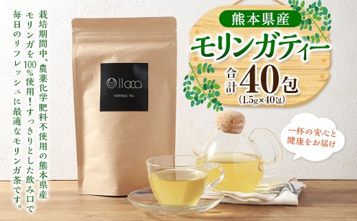 熊本県産 モリンガティー 40包 ／ モリンガ茶 モリンガ ティー お茶 茶 健康茶