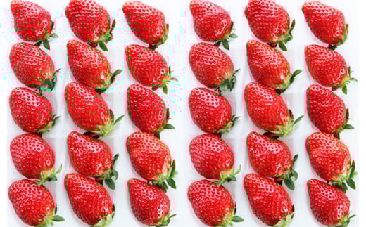 吉次いちご 約700g (24~33粒) 【2026年1月上旬発送開始】 いちご イチゴ ストロベリー 苺 果物 くだもの 果実 フルーツ 旬 冷蔵 九州 熊本県