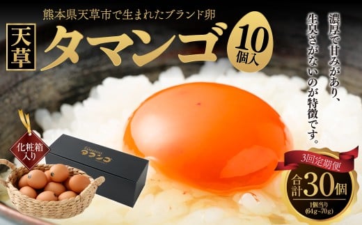 熊本県天草市で生まれたブランド卵「天草タマンゴ」10個入 ／ 化粧箱×3回 計30個 化粧箱入 【3ヶ月連続定期便】 卵 たまご タマゴ 生卵 生たまご 卵黄 卵 定期便 3回 熊本県 天草市
