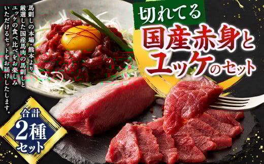 切れてる国産赤身とユッケのセット 馬 馬肉 馬刺 九州 熊本