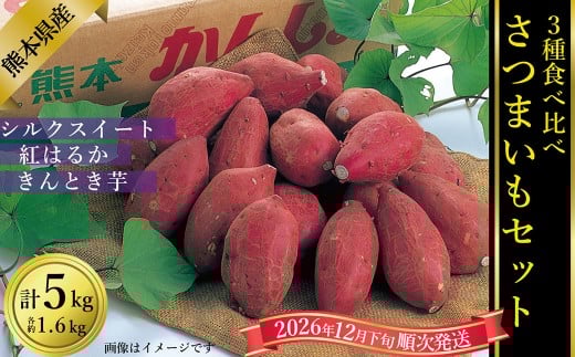 さつまいも食べ比べ（シルクスイート/紅はるか/金時）計約5kg【2026年12月下旬発送開始】さつま芋 さつまいも 芋 いも 食べ比べ 野菜 お野菜 やさい 5kg 熊本産 国産 シルクスイート 紅はるか 金時 べにはるか きんとき 3種類