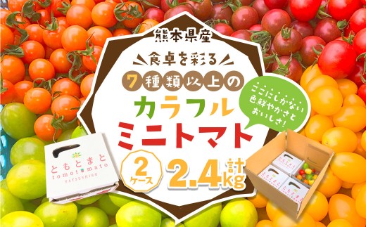 熊本県産食卓を彩る7種類以上の色鮮やかなカラフルミニトマト 4箱入り2ケース 計2.4kg 熊本県産 トマト プチトマト 【2025年11月上旬発送開始】