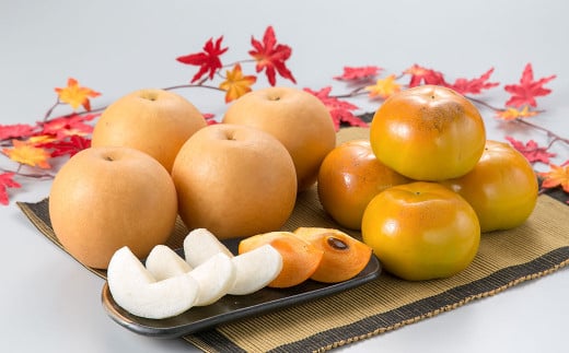 熊本県産 秋の梨・太秋柿セット 各3～4玉 合計6～8玉 【2026年10月上旬発送開始】 果物 フルーツ 梨 なし 柿 かき 旬 旬のフルーツ