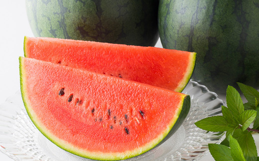 熊本県産 小玉すいか 1玉 1.5kg以上 【2026年5月上旬発送開始】 すいか スイカ 西瓜 くだもの 果物 フルーツ 国産