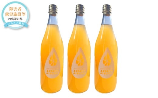 100％グレープフルーツジュース 3本セット （720ml×3本） グレープフルーツ ジュース 飲料 ドリンク 果汁飲料 果汁100% ギフト プレゼント おすすめ 国産 常温