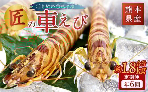 【年6回定期便】熊本県産匠の車えび（活き締め急速冷凍）約300g（9尾～12尾）×6回 合計約1800g