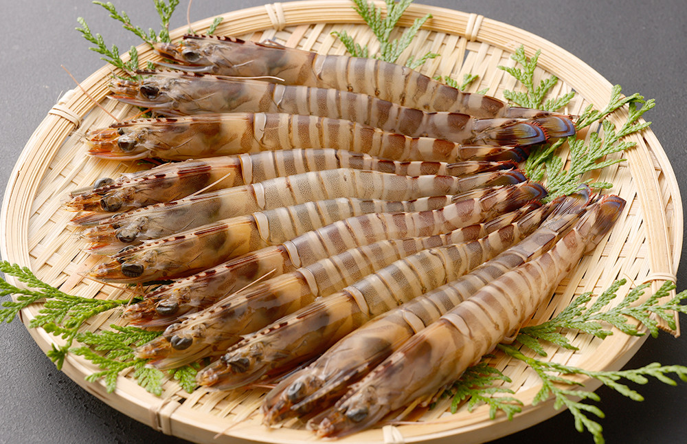 天草七福神冷凍車海老(加熱用) 約250g