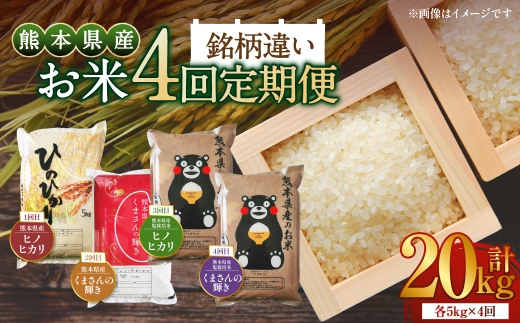【 4か月連続定期便 】 【 令和7年度産 】 熊本県産のお米 5kg×4回 銘柄違い 計20kg 国産 熊本県産 お米 米 コメ ご飯 白米 ヒノヒカリ くまさんの輝き 塩栽培米 塩栽培 【 2025年12月上旬発送開始 】