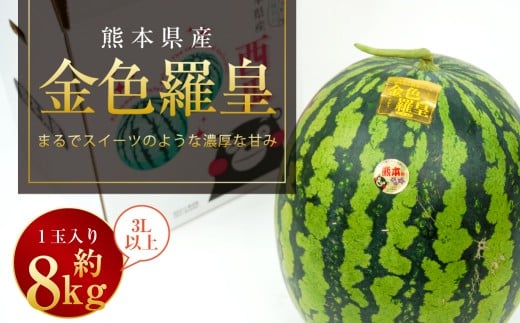 金色羅皇 1玉入り 3L以上 約8kg 【2026年5月上旬～2026年6月下旬発送予定】スイカ 甘いフルーツ 名産果物 果物 熊本県