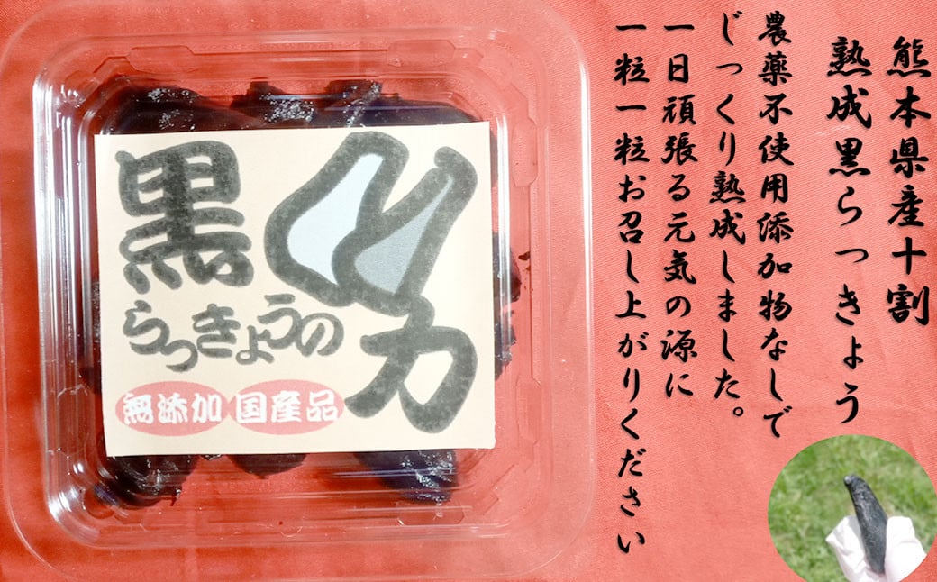 熊本県産黒らっきょうの力