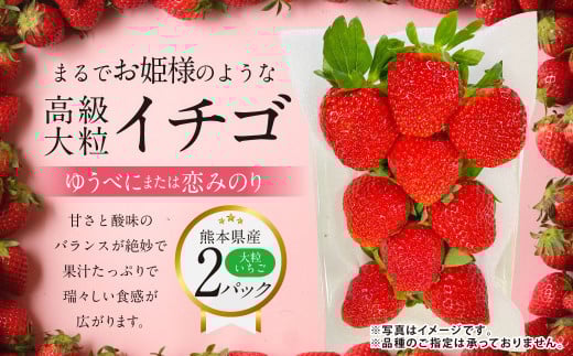 『まるでお姫様のような高級大粒いちご』 大粒いちご 250g×2パック 約500g 1箱 （ゆうべにまたは恋みのり） 熊本県産 【2026年1月下旬発送開始】 フルーツ くだもの 果物 イチゴ 苺 いちご ゆうべに 恋みのり おやつ 国産