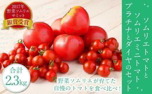 【 食べ比べ 】ソムリエ トマト1.3kg と ソムリエ ミニトマト プラチナ500g とダイヤ 500g の セット 合計 2.3kg 3種 とまと 野菜 やさい 熊本県産 国産 【2026年2月上旬発送開始】