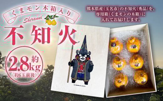 くまモン 木箱入り 不知火 約2.8kg 約6玉前後 柑橘 果物 しらぬい みかん 蜜柑 フルーツ くだもの 【2026年3月上旬発送開始】