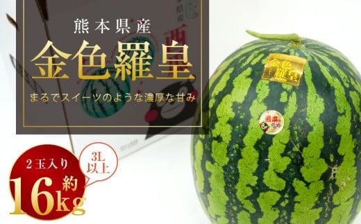 金色羅皇 2玉入り 3L以上 約16kg 【2026年5月上旬～2026年6月下旬発送予定】スイカ 甘いフルーツ 名産果物 果物 熊本県