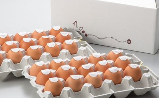 卵かけごはん専用 あさひ卵 L玉サイズ×30個 （25個+破損保障5個）【2025年10月上旬発送開始】 たまご 卵 タマゴ 玉子 鶏卵 卵かけご飯 熊本県