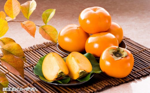 熊本県産 太秋柿 2kg 【2025年10月下旬発送開始】 フルーツ くだもの 果物 かき 柿