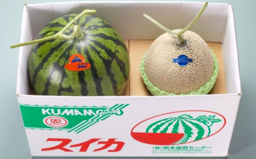 熊本県産 大玉スイカ1玉とマスクメロン1玉 合計2玉 【2026年5月上旬発送開始】 果物 フルーツ 大玉 スイカ 青肉 メロン