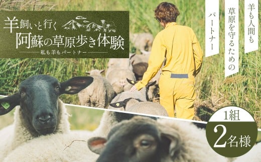 【 体験期間 6月1日ー9月30日 】 羊 飼いと行く 阿蘇 の草原歩き 体験 「私も 羊 も パートナー 」 2名様1組 ペア体験 動物 羊 熊本県 自然 チケット 観光 レジャー