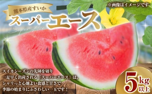 熊本県産 すいか スーパーエース 5kg以上 スイカ 西瓜 果物 くだもの フルーツ おすすめ ギフト 贈り物 【2026年3月上旬発送開始】