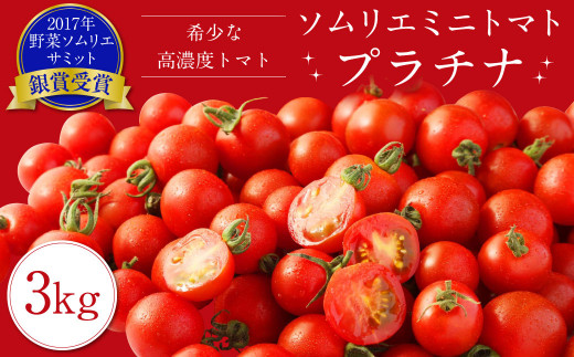 ソムリエ ミニトマト プラチナ 3kg とまと トマト 野菜 やさい 熊本県産 【2025年12月下旬発送開始】