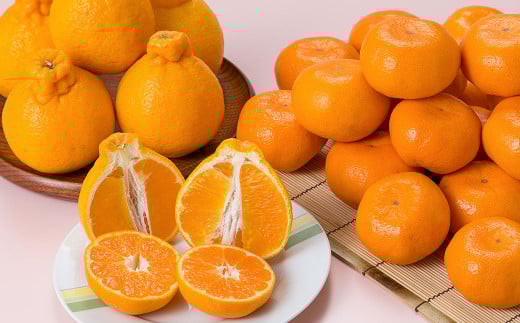 熊本県産 デコポン （4玉）・完熟みかん （1.5kg） セット 【2026年1月上旬発送開始】 果物 フルーツ 柑橘 でこぽん みかん 完熟