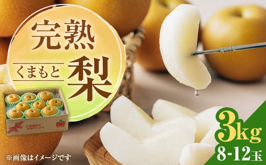 【2026年8月下旬発送予定】 完熟 くまもと梨 3kg 果物 フルーツ なし