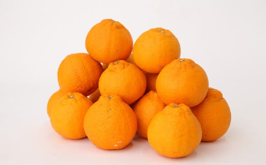 【2024年2月発送開始】熊本県産 不知火柑 約4.5kg しらぬい 果物 柑橘類