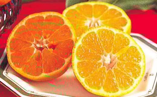 熊本県産 ポンカン 約2.2kg【2026年12月下旬発送開始】