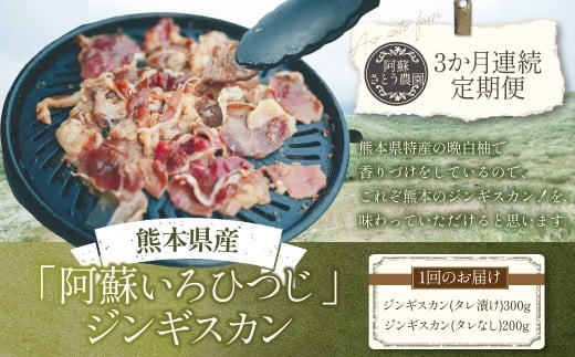 【3か月連続定期便】熊本県産 「阿蘇いろひつじ」 ジンギスカン 計500g （タレ漬け 300g ・ タレなし 200g） × 3回 （1500g） ／ 羊 羊肉 ひつじ ラム肉 ジンギスカン用 国産羊 国産 熊本県 冷凍