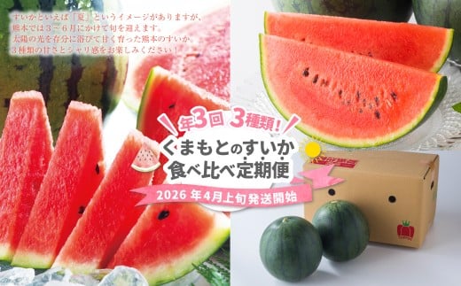 【年3回定期便】 くまもと の すいか 食べ比べ 定期便 合計4玉 スイカ 西瓜 果物 くだもの フルーツ 【2026年4月上旬発送開始】