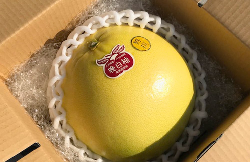 【年6回定期便】熊本県産フルーツB(偶数月発送)	