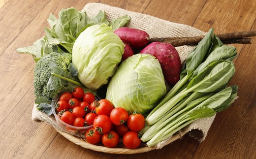 くまもと旬の野菜セット【2026年1月上旬発送開始】 キャベツ ブロッコリー トマト 芋 ほうれん草 小松菜 レタス ごぼう 野菜 サラダ 詰め合わせ セット 新鮮