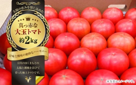 太陽の恵みを閉じ込めた真っ赤な大玉トマト2kg（熊本県産） 【2026年1月下旬発送開始】 甘い 真っ赤 野菜 やさい 爽やか フルーツトマト とまと 国産 常温