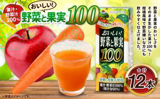 おいしい野菜と果実 200ml×12本 合計2400ml 果汁100% 野菜 果実 フルーツ ジュース フルーツジュース 常温 飲料 熊本県 らくのうマザーズ