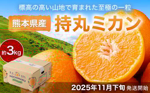 熊本県産 持丸ミカン 約3キロ 【2025年11月下旬発送開始】 蜜柑 みかん ミカン 柑橘 フルーツ くだもの 果物 国産