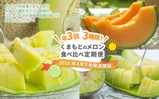 【年3回定期便】 くまもと の メロン 食べ比べ 定期便 合計4玉 果物 くだもの フルーツ 【2026年4月下旬発送開始】