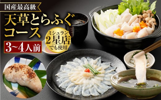 【白子付】【大皿】 国産 最高級!! 天草とらふぐ コース 【2025年12月上旬発送開始】 6種 セット 河豚 フグ ふぐ 刺し身 刺身 さしみ 白子 お魚 魚 さかな 魚介 魚介類