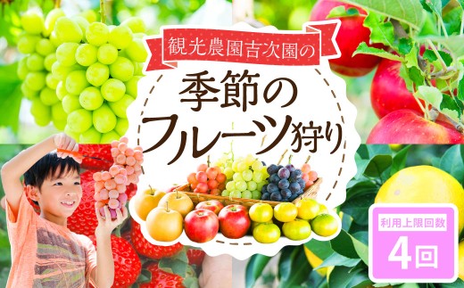 観光農園吉次園の「旬を味わうフルーツ狩りパスポート」（計4回） 果物狩り フルーツ 狩り 食べ比べ 食べ放題 季節 旬 家族 体験チケット チケット 体験 熊本県