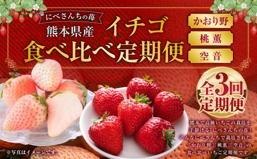 【3か月連続定期便】にべさんちの苺 熊本県産イチゴ食べ比べ定期便 (かおり野・桃薫・空音) 【2026年1月下旬発送開始】