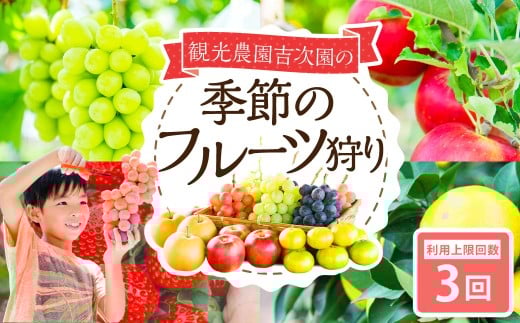 観光農園吉次園の「旬を味わうフルーツ狩りパスポート」（計3回） 果物狩り フルーツ 狩り 食べ比べ 食べ放題 季節 旬 家族 体験チケット チケット 体験 熊本県