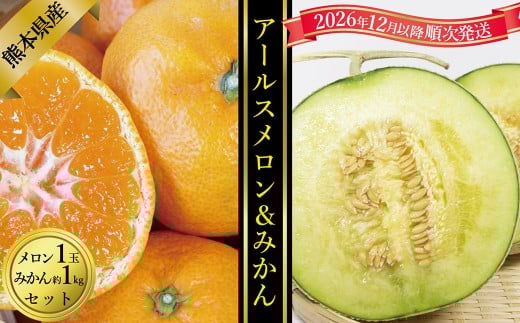 アールスメロン 1玉 ＆みかん 約1kg セット【2026年12月上旬発送開始】アールスメロン メロン 熊本みかん みかん 蜜柑 ミカン 1玉 約1kg セット フルーツ 熊本県産 国産 くだもの 果物 果実 果肉