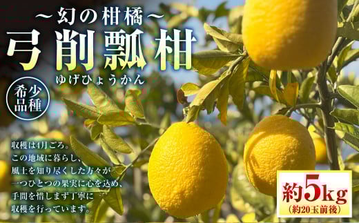 ～幻の柑橘～ 弓削瓢柑（ゆげひょうかん） 約5kg 【2025年4月下旬発送予定】 果物 柑橘 フルーツ 果実 九州 熊本